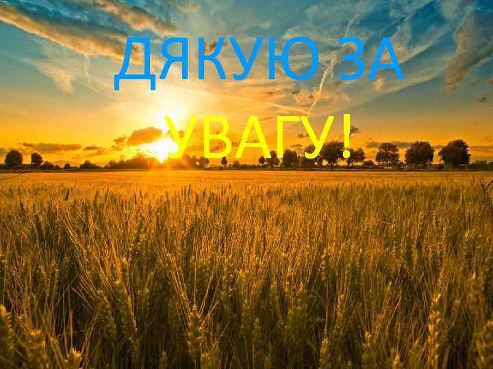 ДЯКУЮ ЗА УВАГУ! 