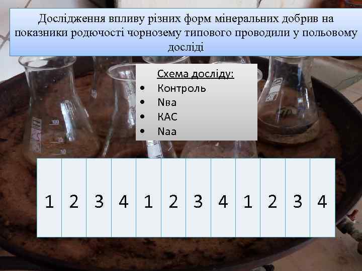Дослідження впливу різних форм мінеральних добрив на показники родючості чорнозему типового проводили у польовому