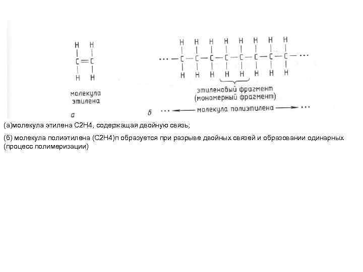 (а)молекула этилена С 2 Н 4, содержащая двойную связь; (б) молекула полиэтилена (С 2