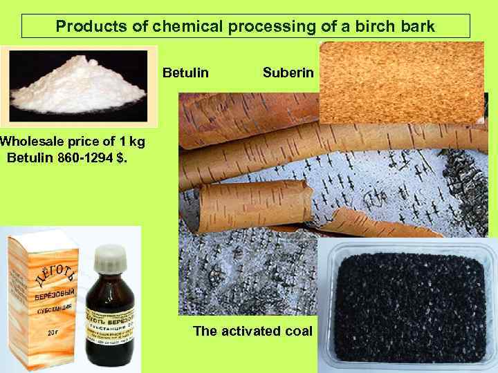 Products of chemical processing of a birch bark • Бетулин Betulin Suberin Wholesale price