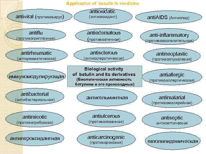 Application of betulin in medicine antiviral (противовирус) antioxidatic (антиоксидант) anti. AIDS (Антиспид) (противогриппозная) antiedematous