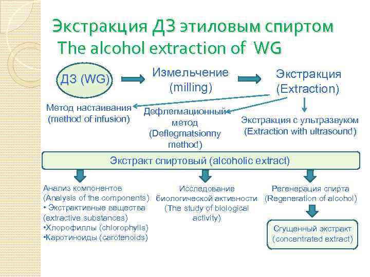 Экстракция ДЗ этиловым спиртом The alcohol extraction of WG Измельчение (milling) ДЗ (WG) Метод