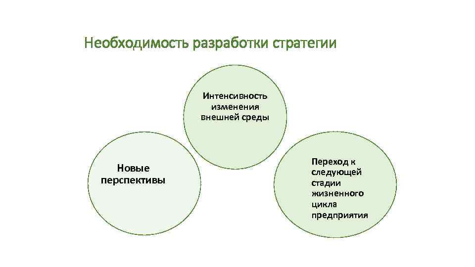 Необходимость разработки стратегии Интенсивность изменения внешней среды Новые перспективы Переход к следующей стадии жизненного