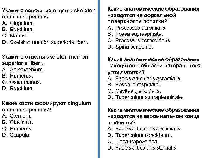 Укажите основные отделы skeleton membri superioris. A. Cingulum. B. Brachium. C. Manus. D. Skeleton