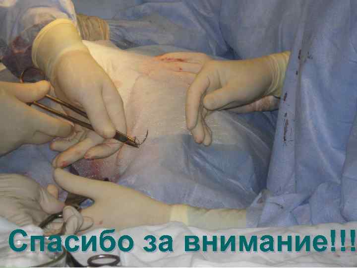 Спасибо за внимание!!! 