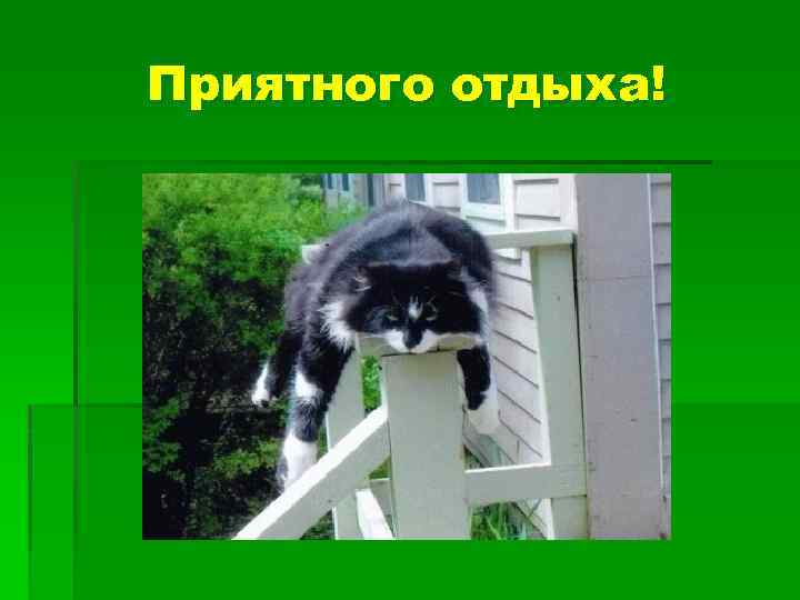 Приятного отдыха! 