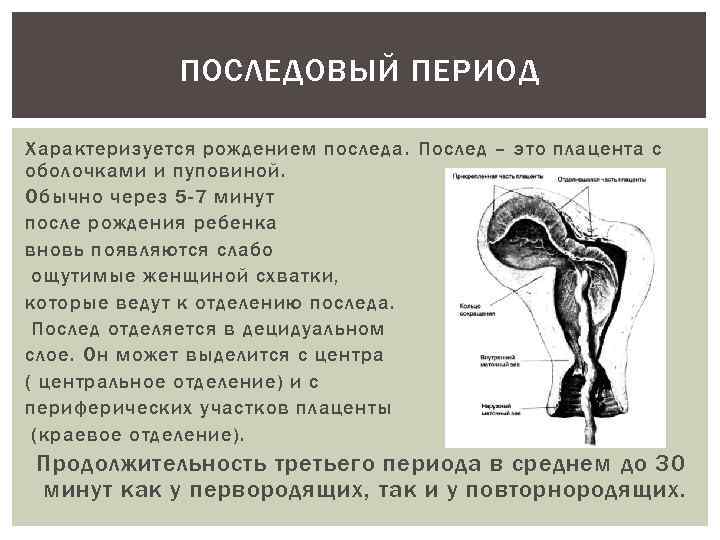 Период характеризующийся