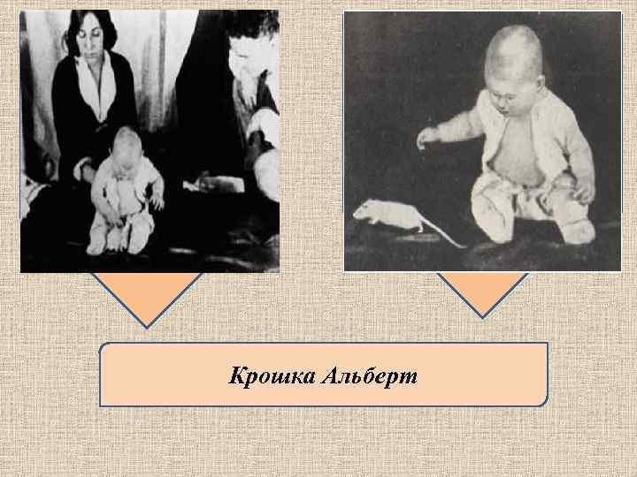 Крошка Альберт 