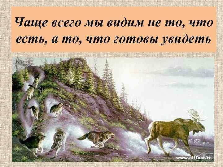 Чаще всего мы видим не то, что есть, а то, что готовы увидеть 