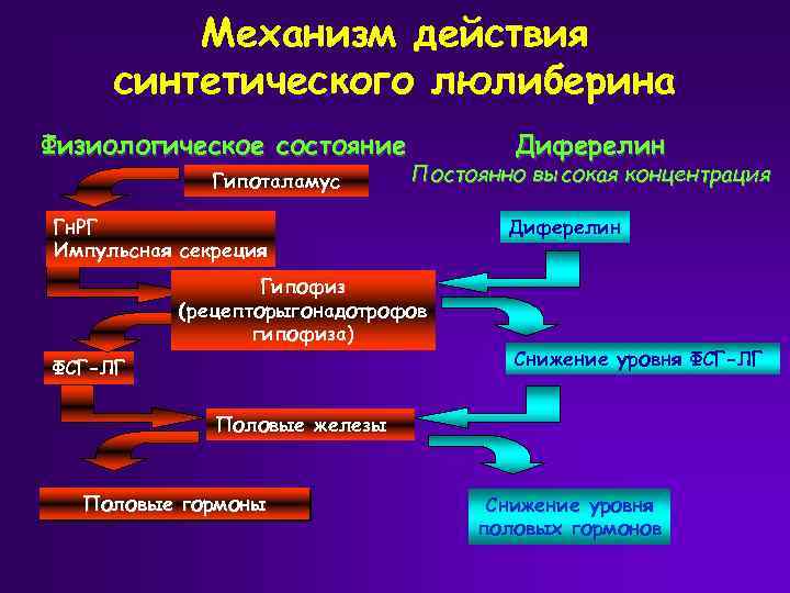 Механизм действия синтетического люлиберина Физиологическое состояние Гипоталамус Постоянно высокая концентрация Гн. РГ Импульсная секреция