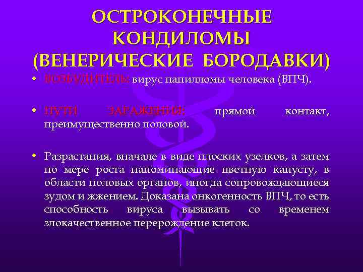 ОСТРОКОНЕЧНЫЕ КОНДИЛОМЫ (ВЕНЕРИЧЕСКИЕ БОРОДАВКИ) • ВОЗБУДИТЕЛЬ: вирус папилломы человека (ВПЧ). • ПУТИ ЗАРАЖЕНИЯ: преимущественно