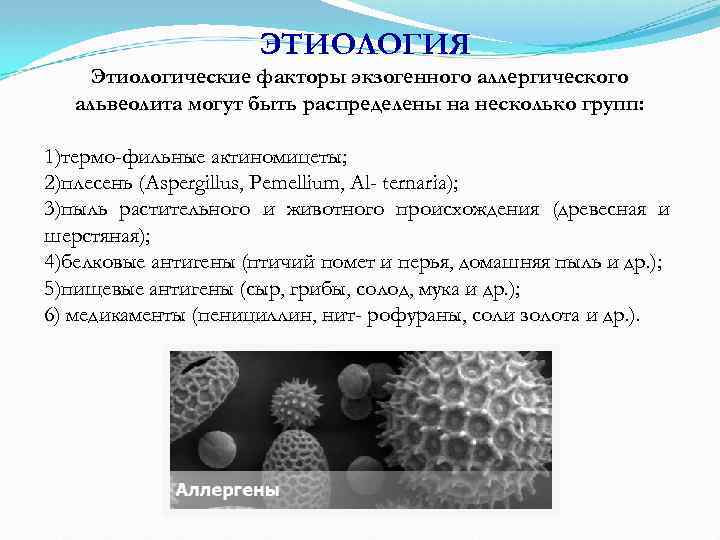 ЭТИОЛОГИЯ Этиологические факторы экзогенного аллергического альвеолита могут быть распределены на несколько групп: 1)термо фильные