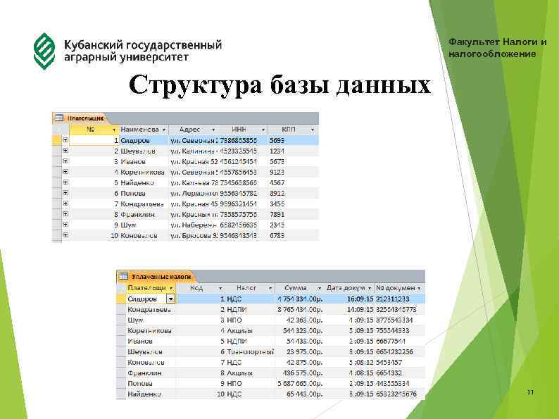 Факультет Налоги и налогообложение Структура базы данных 11 