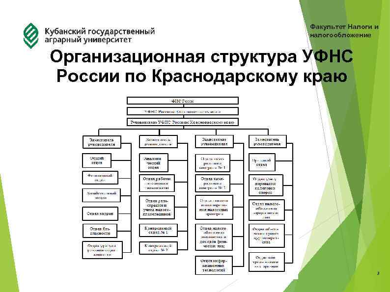 Факультет Налоги и налогообложение Организационная структура УФНС России по Краснодарскому краю 3 