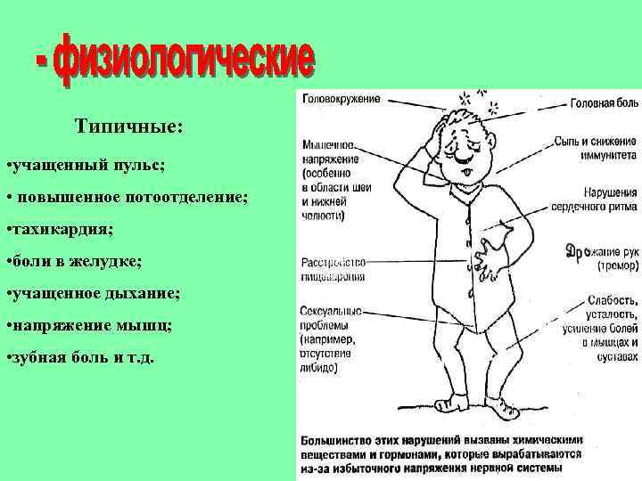 Типичные: • учащенный пульс; • повышенное потоотделение; • тахикардия; • боли в желудке; •