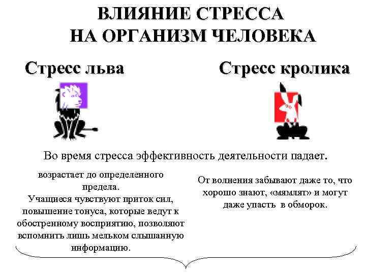 ВЛИЯНИЕ СТРЕССА НА ОРГАНИЗМ ЧЕЛОВЕКА Стресс льва Стресс кролика Во время стресса эффективность деятельности