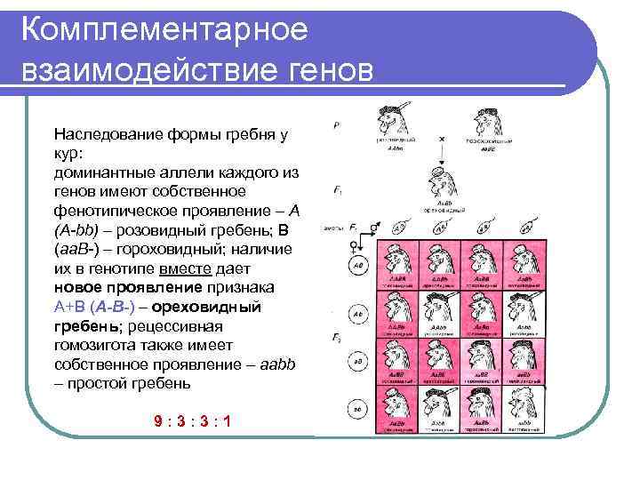 Формы наследования