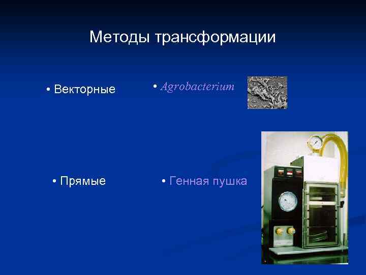 Методы трансформации • Векторные • Прямые • Agrobacterium • Генная пушка 