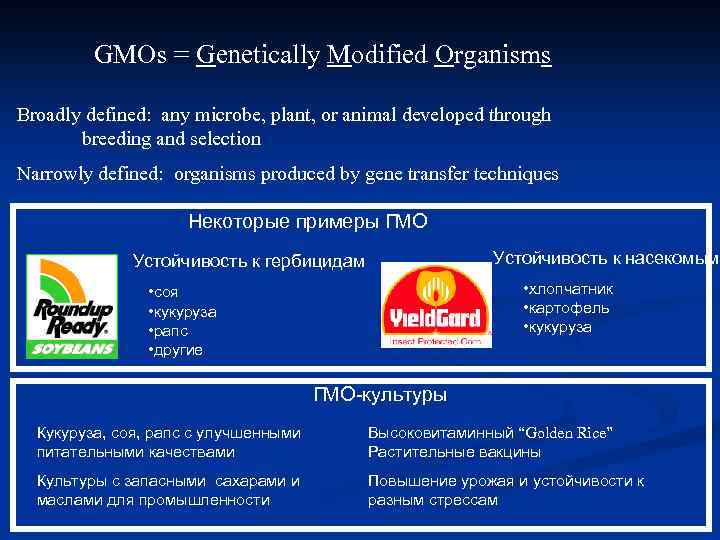 GMOs = Genetically Modified Organisms Broadly defined: any microbe, plant, or animal developed through