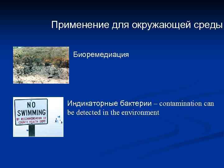 Применение для окружающей среды Биоремедиация Индикаторные бактерии – contamination can be detected in the