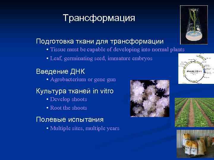 Трансформация Подготовка ткани для трансформации • Tissue must be capable of developing into normal