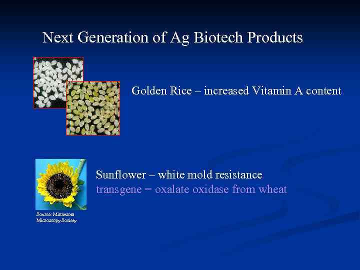 Next Generation of Ag Biotech Products Golden Rice – increased Vitamin A content Sunflower