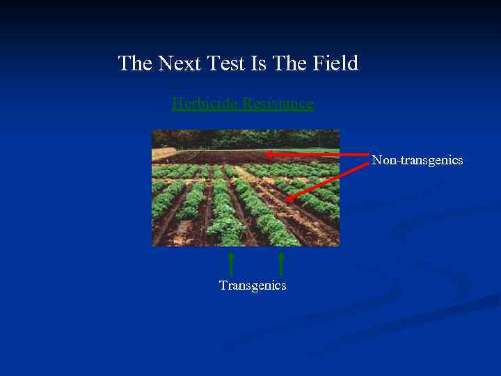 The Next Test Is The Field Herbicide Resistance Non-transgenics Transgenics 