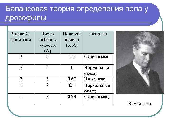 Балансовая теория определения пола