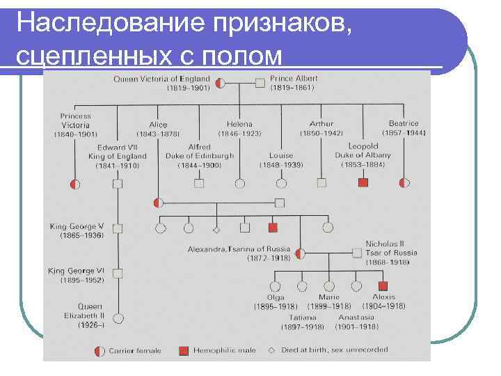 Типы наследования признаков. Последовательность развития наследственных признаков. Механизм наследования признаков. Механизм наследования признаков схема. Какие бывают типы наследования.