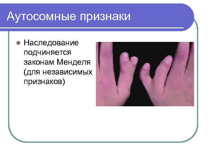 Аутосомные хромосомы. Аутосомные признаки. Аутосомные несцепленные признаки это. Аутосомные нормальные признаки. Аутосомныепризнаки это.