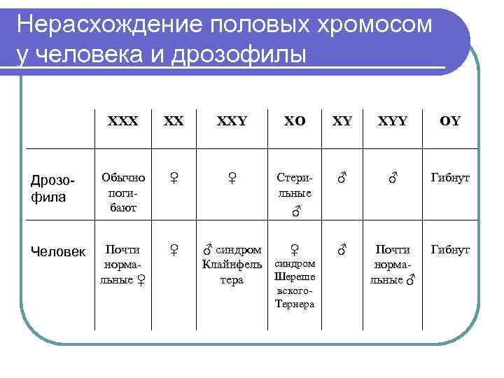 Признаки половых хромосом. Нерасхождение половых хромосом. Нерасхождение половых хромосом у дрозофилы. Наследование при нерасхождении половых хромосом. Характер наследования признаков при нерасхождении половых хромосом.