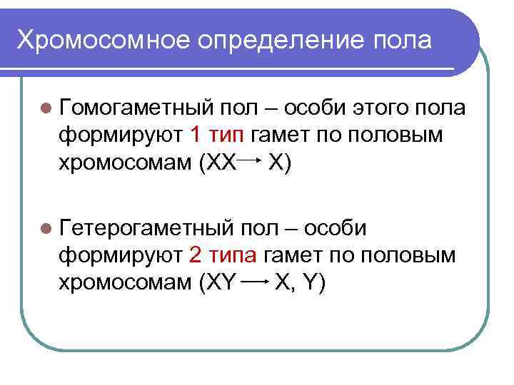 Хромосомное определение пола l Гомогаметный пол – особи этого пола формируют 1 тип гамет