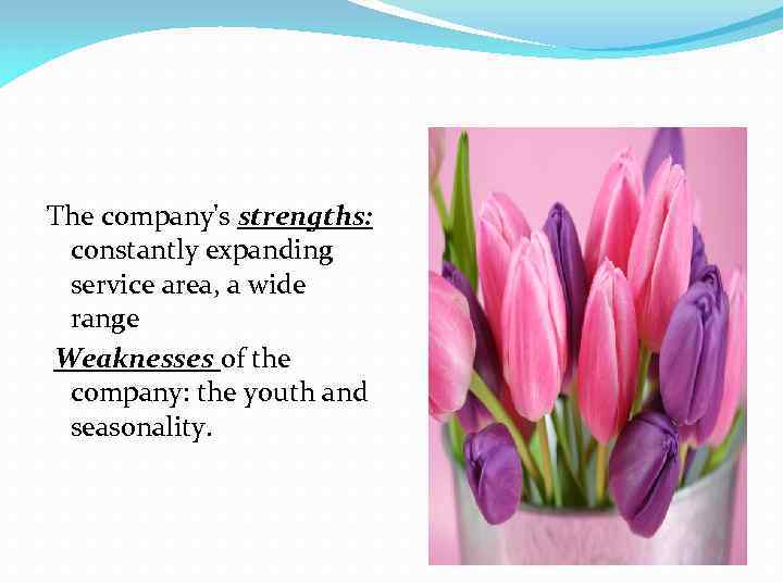 The company's strengths: constantly expanding service area, a wide range Weaknesses of the company: