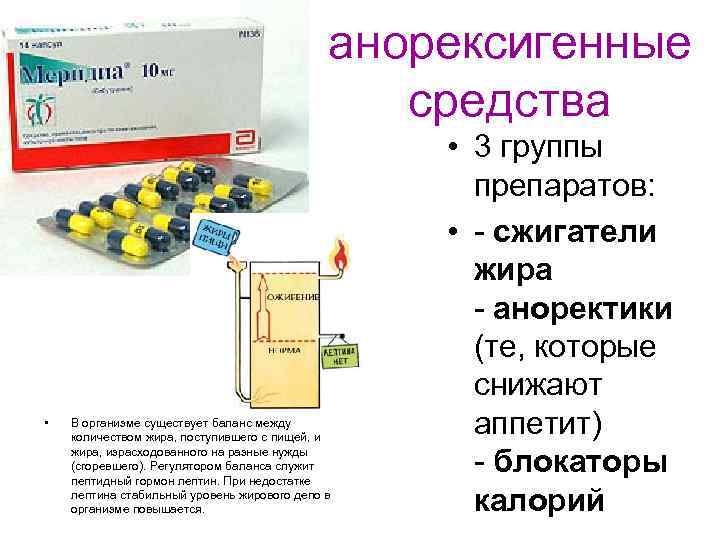анорексигенные средства • В организме существует баланс между количеством жира, поступившего с пищей, и