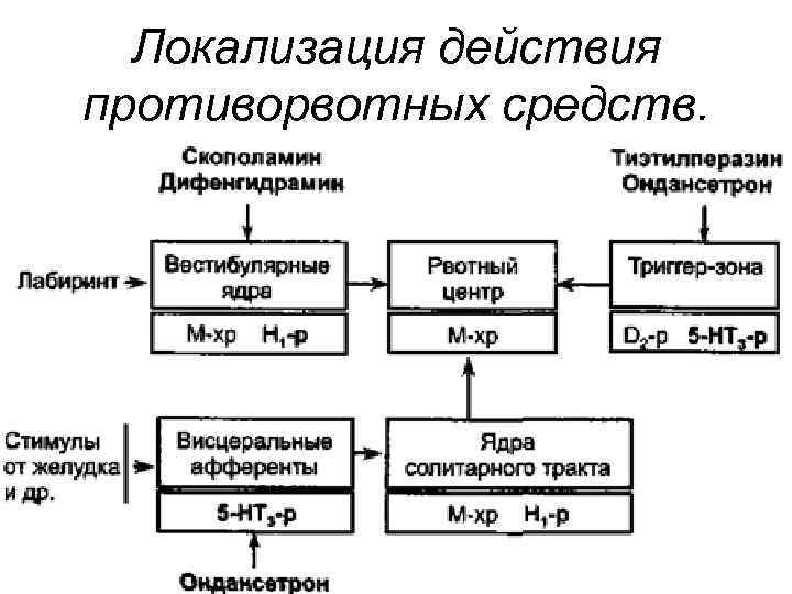 Локализация действия противорвотных средств. 