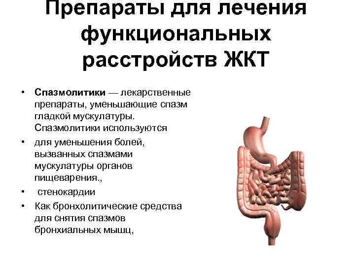 Препараты для лечения функциональных расстройств ЖКТ • Спазмолитики — лекарственные препараты, уменьшающие спазм гладкой