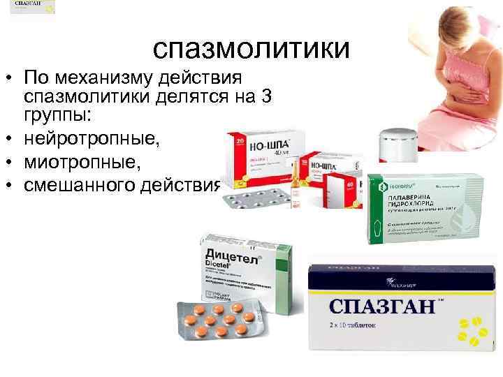 спазмолитики • По механизму действия спазмолитики делятся на 3 группы: • нейротропные, • миотропные,