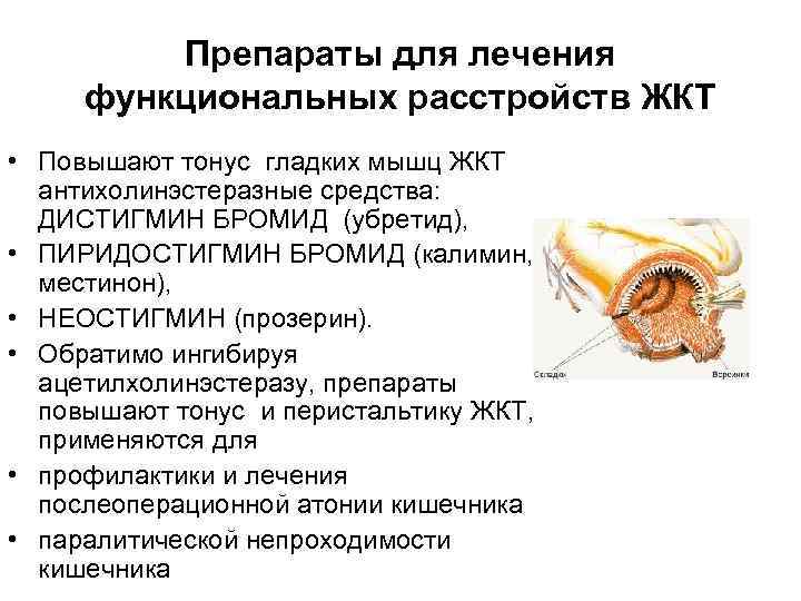 Препараты для лечения функциональных расстройств ЖКТ • Повышают тонус гладких мышц ЖКТ антихолинэстеразные средства: