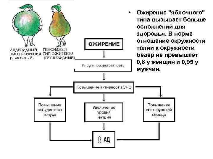 • Ожирение 