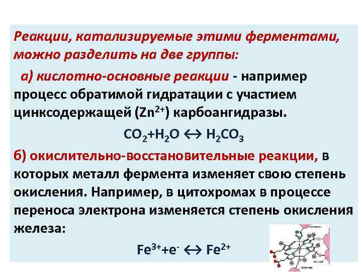 Реакции, катализируемые этими ферментами, можно разделить на две группы: а) кислотно-основные реакции - например