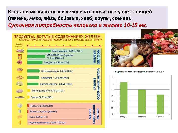 В организм животных и человека железо поступает с пищей (печень, мясо, яйца, бобовые, хлеб,