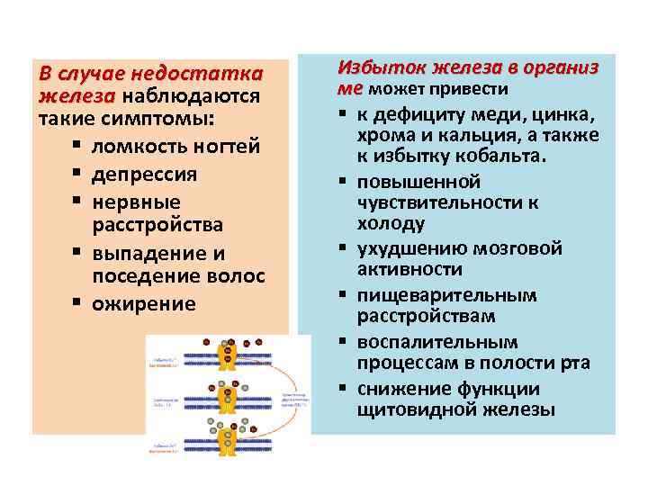 В случае недостатка железа наблюдаются железа такие симптомы: § ломкость ногтей § депрессия §