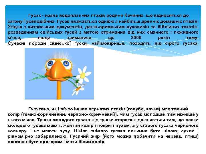Гусак - назва водоплавних птахів родини Качиних, що відносяться до загону Гусеподібних. Гусак вважається