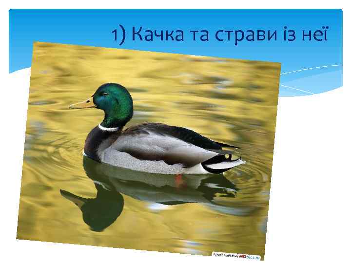 1) Качка та страви із неї 