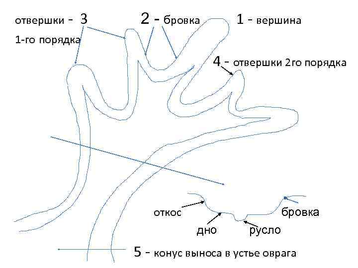 отвершки - 3 1 - вершина 2 - бровка 1 -го порядка 4 -