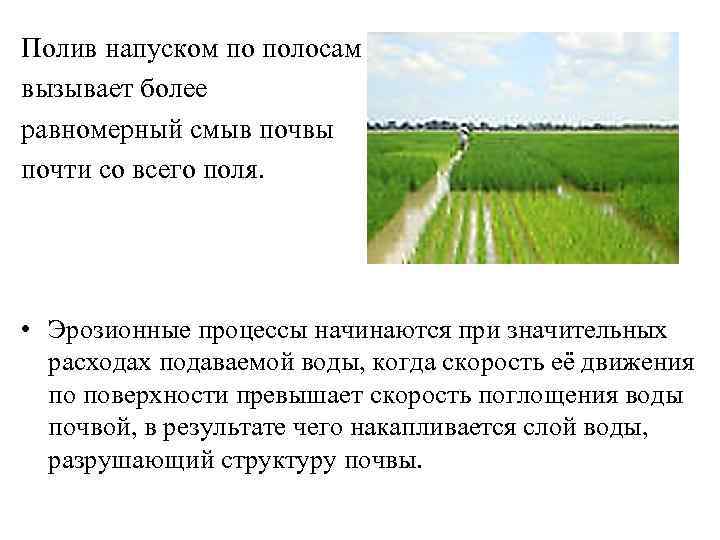 Продолжи по полям. Полив напуском по полосам. Полив по бороздам по полосам. Поливы по бороздам и напуском по полосам. Орошение напуском по бороздам.