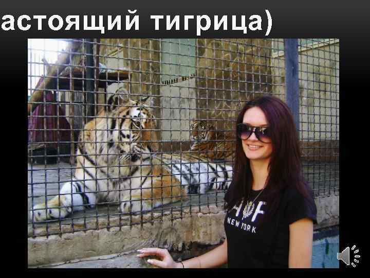астоящий Настоящий тигрица) 