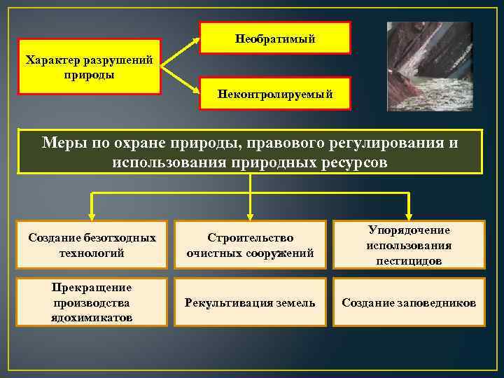 Необратимый Характер разрушений природы Неконтролируемый Меры по охране природы, правового регулирования и использования природных