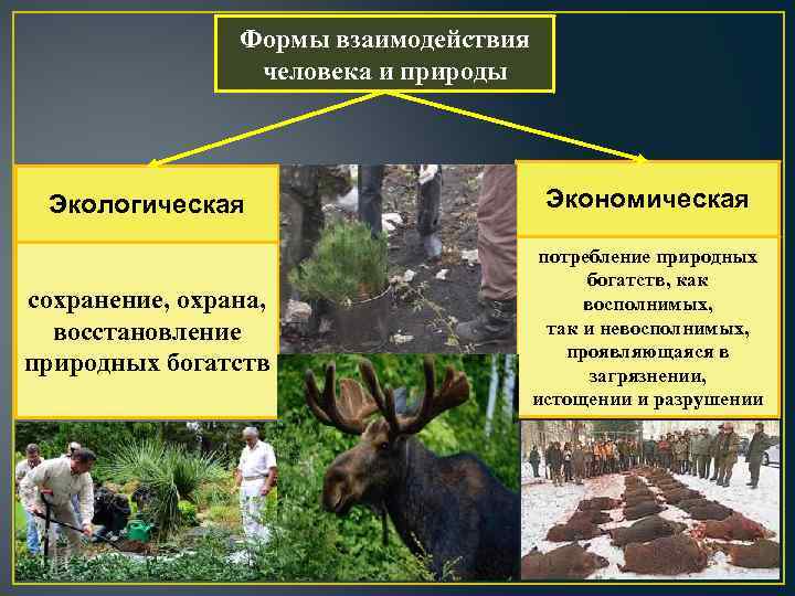 Формы взаимодействия человека и природы Экологическая Экономическая сохранение, охрана, восстановление природных богатств потребление природных