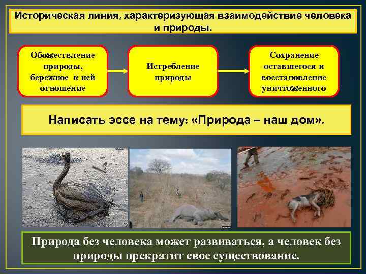 Историческая линия, характеризующая взаимодействие человека и природы. Обожествление природы, бережное к ней отношение Истребление